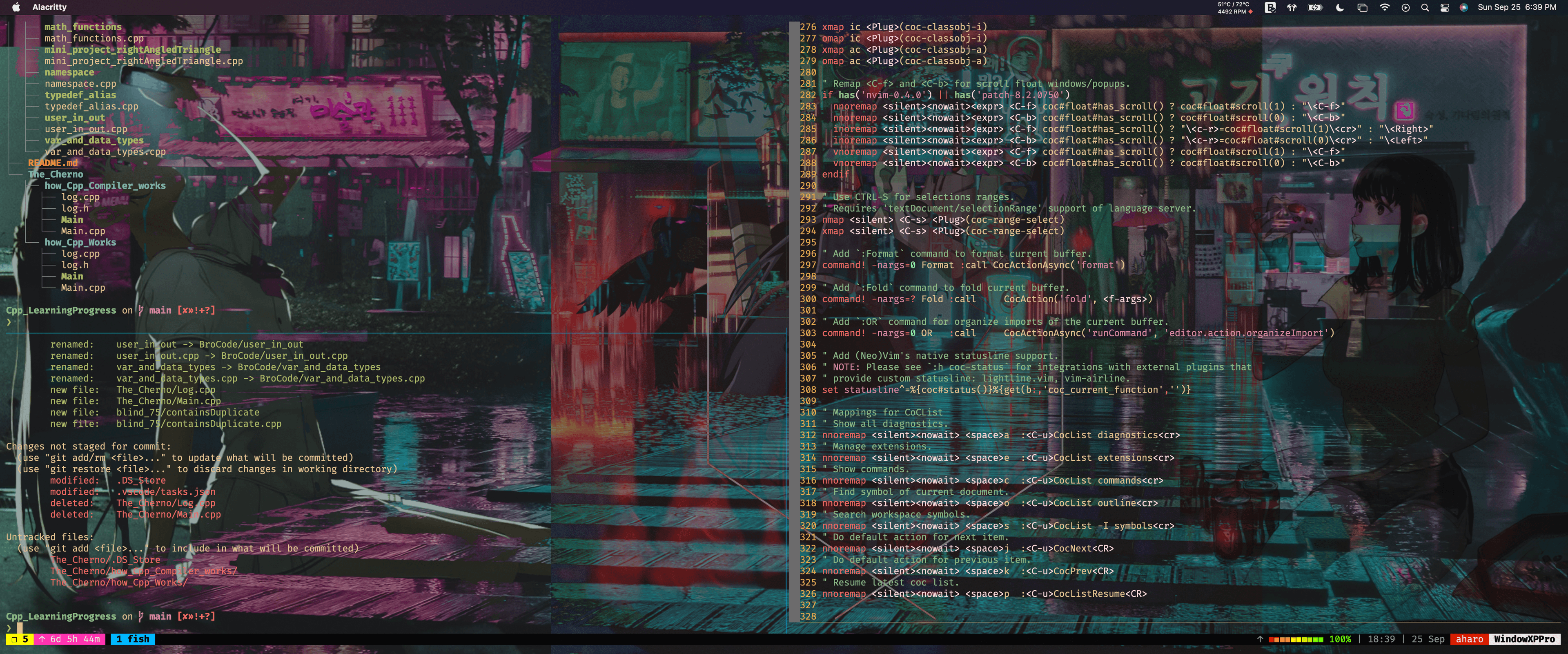 alacritty-config
